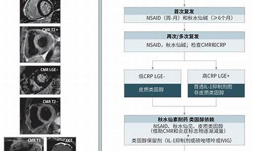 心包结核治疗指南最新版全文_心包结核怎么治疗